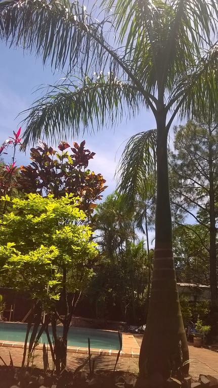 Petit Hotel Caraguata ปูแอร์โตอีกวาซู ภายนอก รูปภาพ