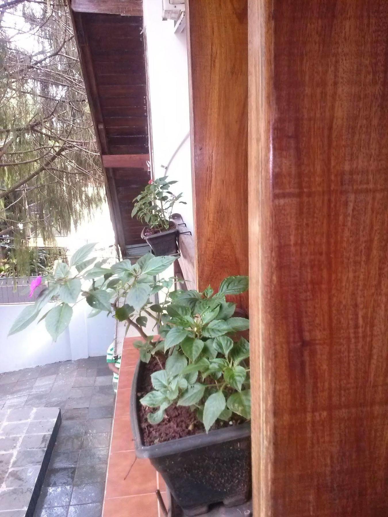 Petit Hotel Caraguata ปูแอร์โตอีกวาซู ภายนอก รูปภาพ